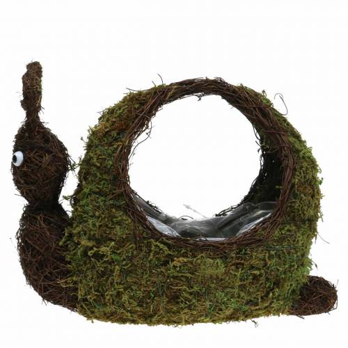 Floristik24 Växtkorg snigelmoss brun 29x13cm H23cm