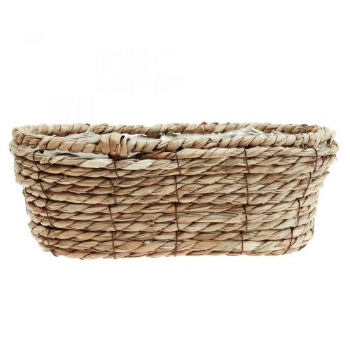 Floristik24 Växtekorg sjögräskorg oval dekorkorg 28×15×10cm