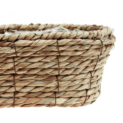 Floristik24 Växtekorg sjögräskorg oval dekorkorg 28×15×10cm