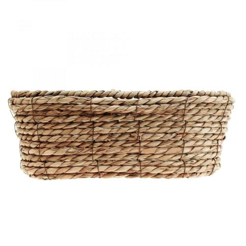 Floristik24 Växtekorg sjögräskorg oval dekorkorg 32×19×12cm