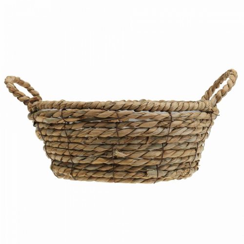 Floristik24 Växtkorg sjögräskorg med handtag bordsdekoration Ø30cm H11cm