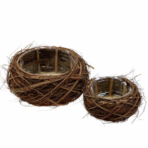 Floristik24 Växtekorg vinstockar och kvistar naturliga Ø37 / 28cm, set om 2