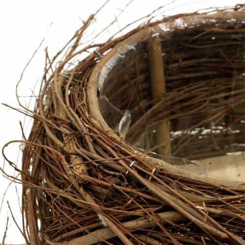 Floristik24 Växtekorg vinstockar och kvistar naturliga Ø37 / 28cm, set om 2