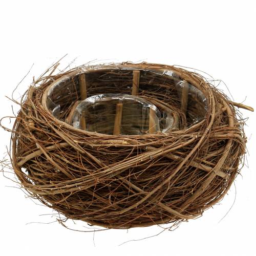 Floristik24 Växtekorg vinstockar och kvistar naturliga Ø37 / 28cm, set om 2