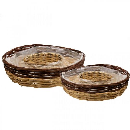 Floristik24 Växtring av pil, växtskål Ø35/30cm set om 2