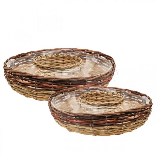 Floristik24 Växtring av pil, växtskål Ø44/38cm set om 2