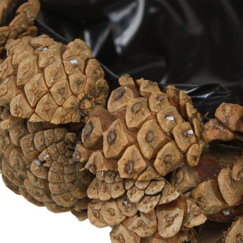 Floristik24 Växtskål äkta kottar kottskål naturlig Ø28cm H9cm