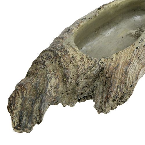 Floristik24 Plantskål för suckulenter 24,5 cm x 8,5 cm H5,5 cm
