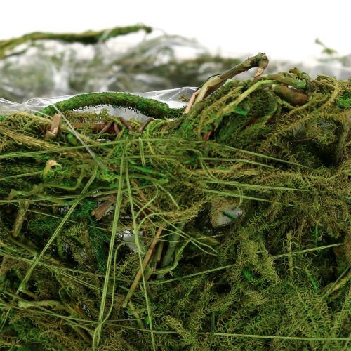 Floristik24 Planterskål med mossa Ø16cm H9cm - 10cm grön 3st