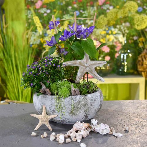 Floristik24 Växtskål antik look blomskål patina Ø32cm H14cm