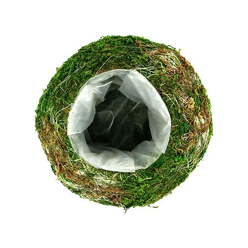 Floristik24 Växtskål mosskål Ø18cm 2st