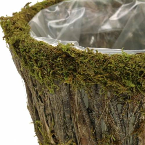 Floristik24 Plantskål mossa/bark rund Ø15/20cm set om 2