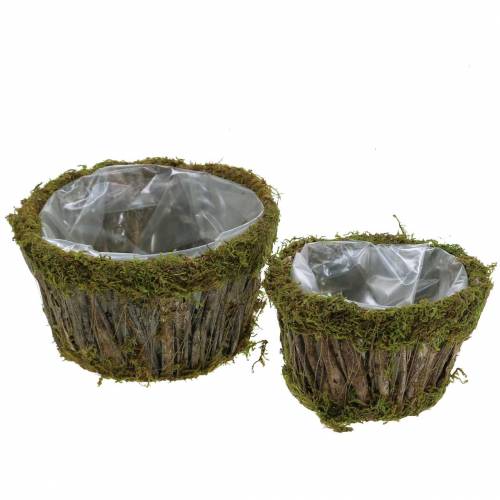 Floristik24 Plantskål mossa/bark rund Ø15/20cm set om 2