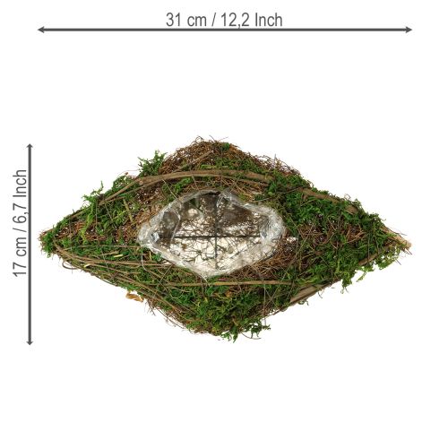 Artikel Plantering av båtrankor och mossplanteringsskål 31×17×6 cm