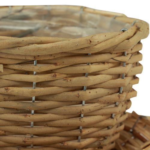 Floristik24 Plantkruka dekorativ kopp pilväxtkorg naturgrön Ø23cm