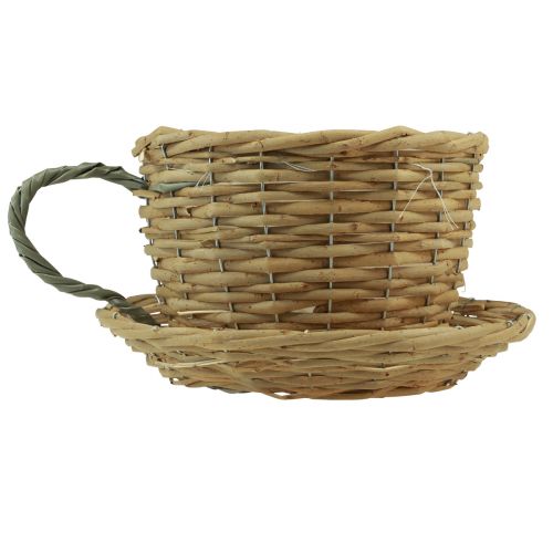 Floristik24 Plantkruka dekorativ kopp pilväxtkorg naturgrön Ø23cm
