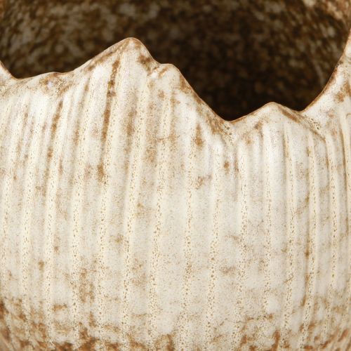 Artikel Plantkruka Keramik Ägg Broken Cream Brun Ø9,5cm 3 St