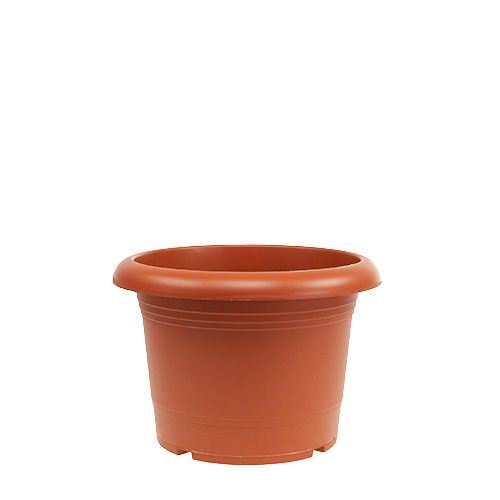Floristik24 Växtkruka "Oliver" terrakotta Ø15cm