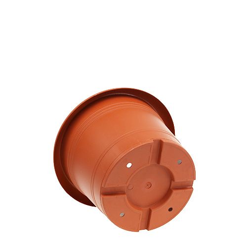 Floristik24 Växtkruka "Oliver" terrakotta Ø15cm