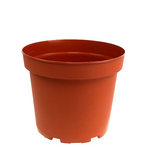 Floristik24 Växtkruka plast Ø17cm 10st