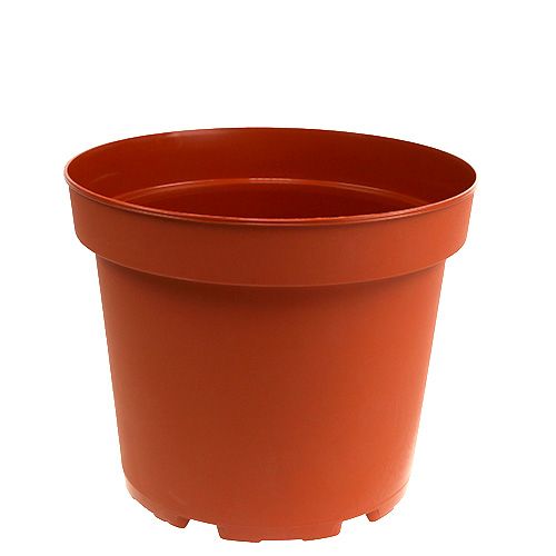 Floristik24 Växtkruka plast Ø19cm 10st