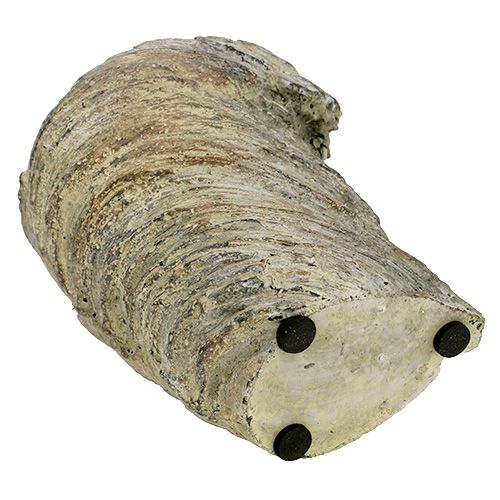 Floristik24 Växtkrukstamm Ø11,5cm H14cm 2st