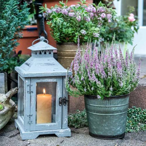 Floristik24 Plantkruka orange, brun, grön Ø17cm H16,5cm set om 3