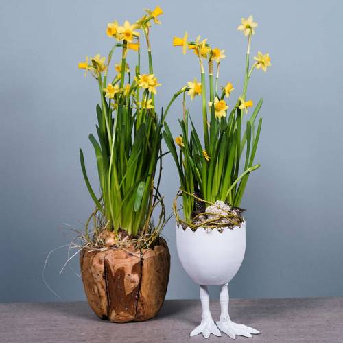 Floristik24 Plantera potten äggskal med ben Ø13cm H21cm vit
