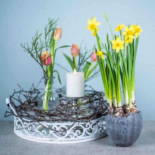 Floristik24 Växtkruka äggskal Ø12cm H11.5cm 6st