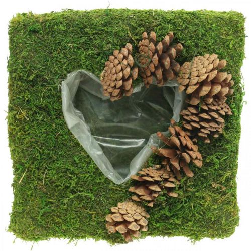 Växtkudde hjärtmossa och kottar fyrkantiga 25 × 25cm