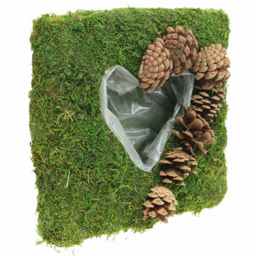 Floristik24 Växtkudde hjärtmossa och kottar fyrkantiga 25 × 25cm