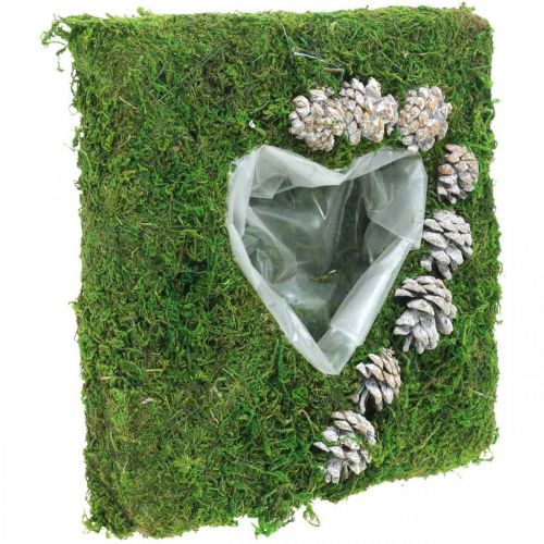 Floristik24 Växtkudde hjärtmossa och kottar, tvättad vit 25 × 25cm