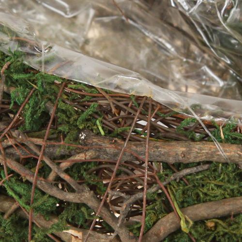 Artikel Plant Wave Vines liten växtskål med mossa 31×15×7 cm