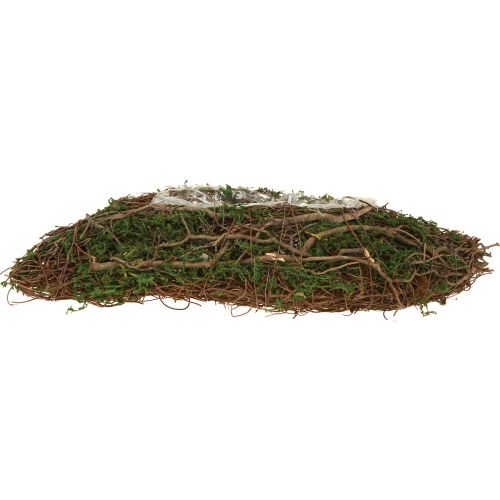 Artikel Plant Wave Vines liten växtskål med mossa 31×15×7 cm