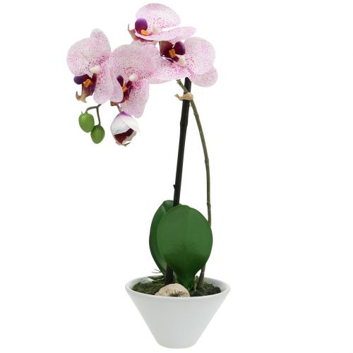 Floristik24 Konstgjord phalaenopsis lila-vit i skål H38cm