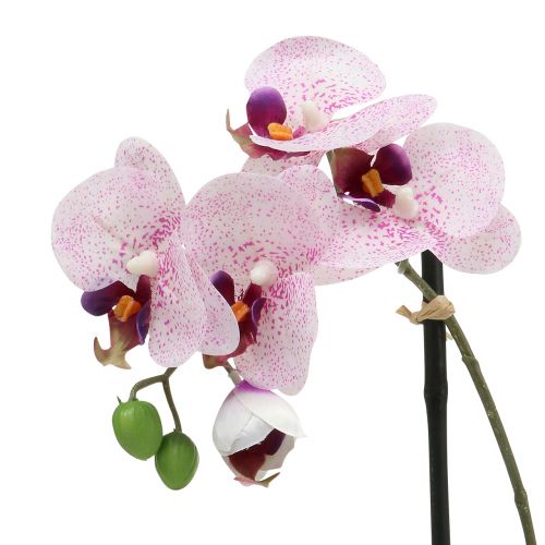 Artikel Konstgjord phalaenopsis lila-vit i skål H38cm