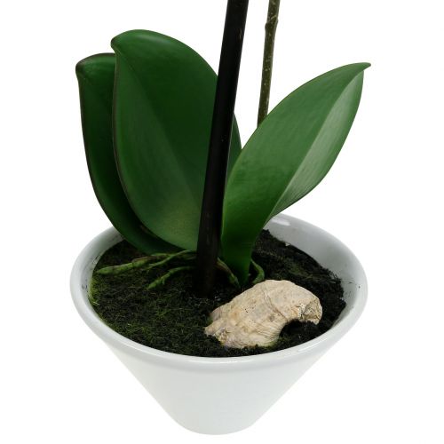 Floristik24 Konstgjord phalaenopsis lila-vit i skål H38cm
