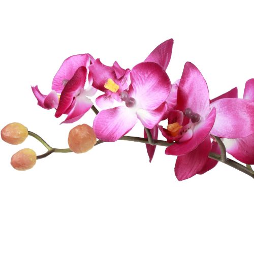 Artikel Konstgjorda orkidéer i kruka Phalaenopsis konstgjorda blommor orkidéer rosa 34cm