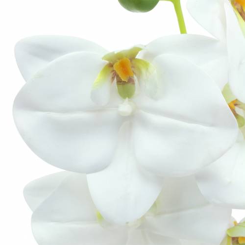 Konstgjord orkidégren Phaelaenopsis vit H49cm