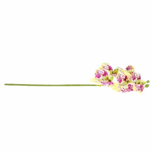 Artikel Konstgjord orkidégren Phaelaenopsis Green Pink H49cm