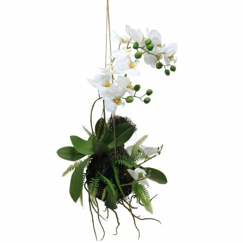 Artikel Orkidé med ormbunke och mossakulor Konstgjord Vit Hängande 64cm