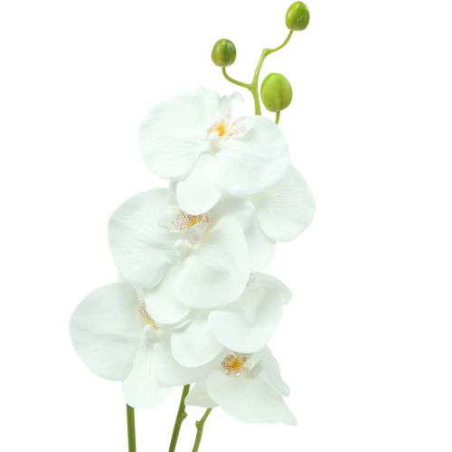 Floristik24 Orkidé Phalaenopsis konstgjord vit 80cm