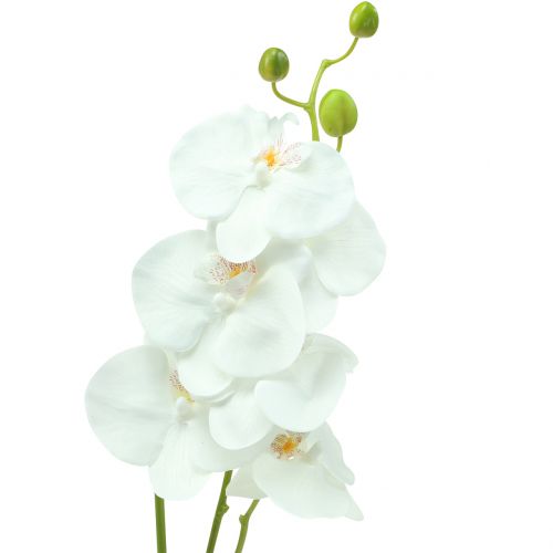 Orkidé Phalaenopsis konstgjord vit 80cm