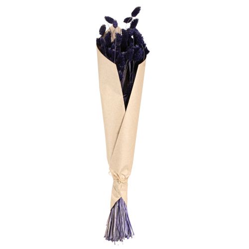 Artikel Phalaris Violet Torkat Gräs Glänsande Gräs 50-55cm 100g