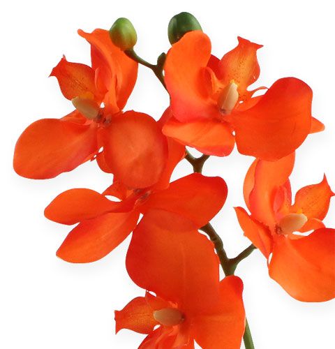 Artikel Konstgjord orkidé med orange blad 35 cm