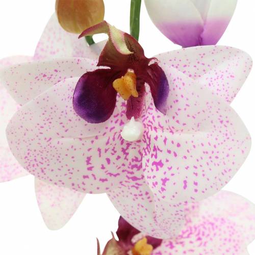 Artikel Konstgjord orkidé phaleanopsis vit, lila 43 cm