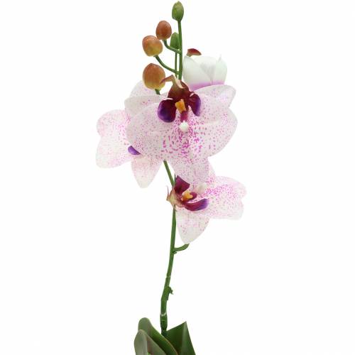 Artikel Konstgjord orkidé phaleanopsis vit, lila 43 cm