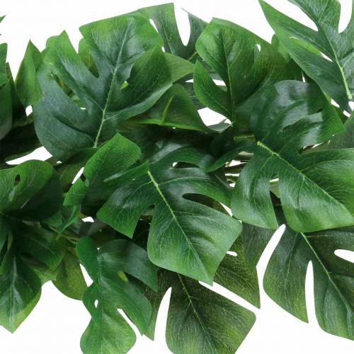 Floristik24 Philodendron hängare grön 85cm