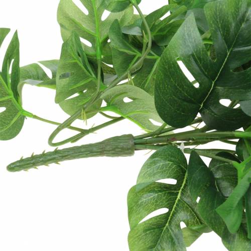 Floristik24 Philodendron hängare grön 85cm