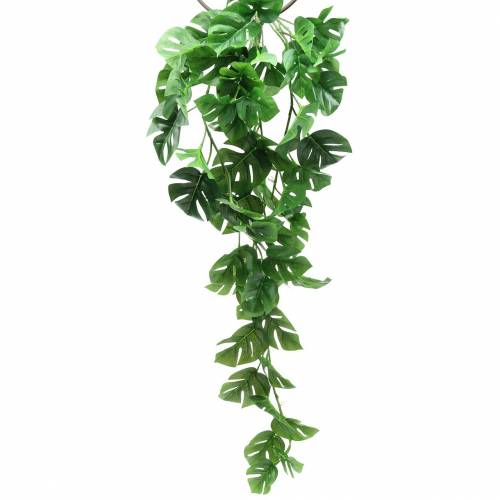 Floristik24 Philodendron hängare grön 85cm